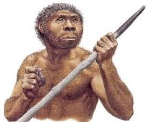 Homo-erectus