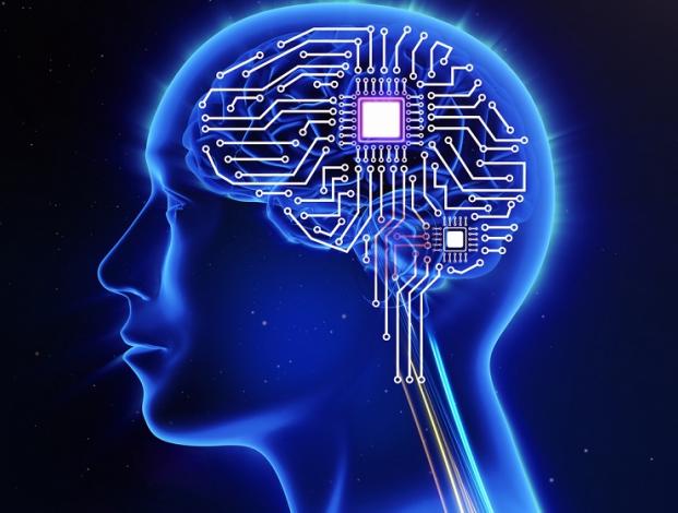 Cerebro como ordenador