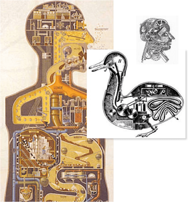 Figura-1-Mecanicismo-Doctrina-que-realiza-una-analogia-entre-los-organismos-y-las