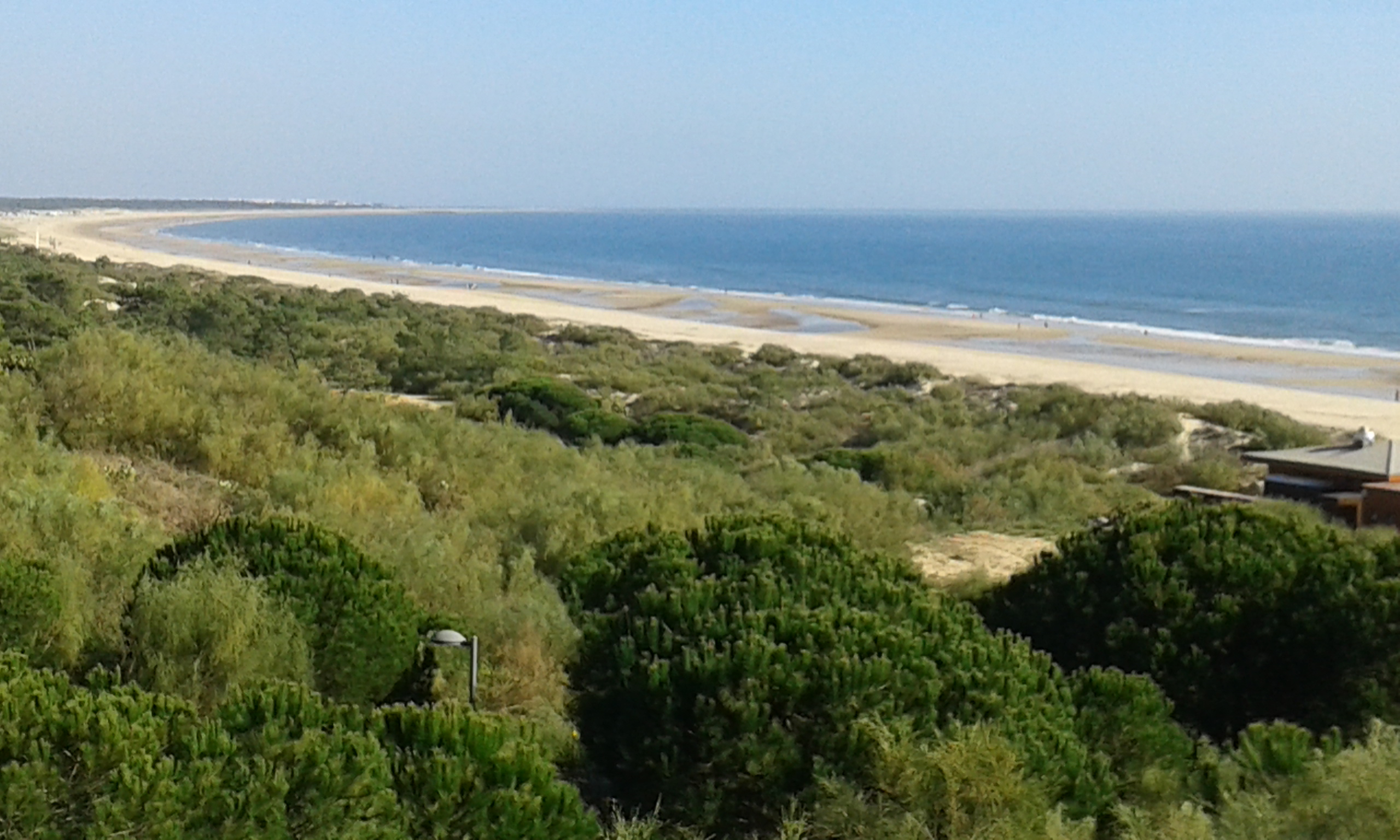 Foto interpretada como jpg.jpg