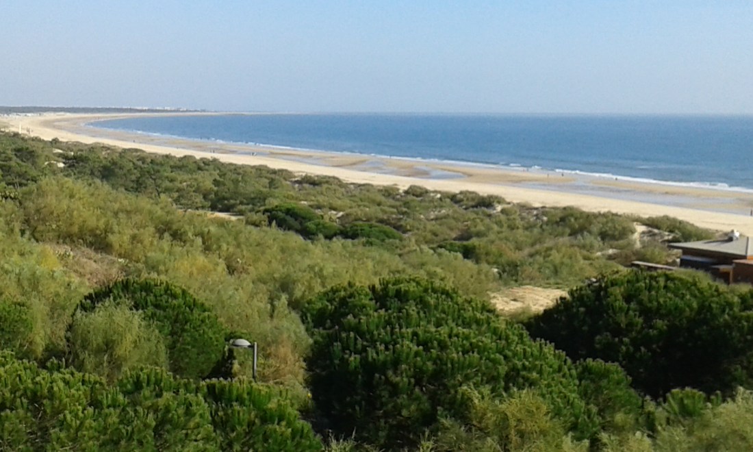 Foto interpretada como jpg.jpg