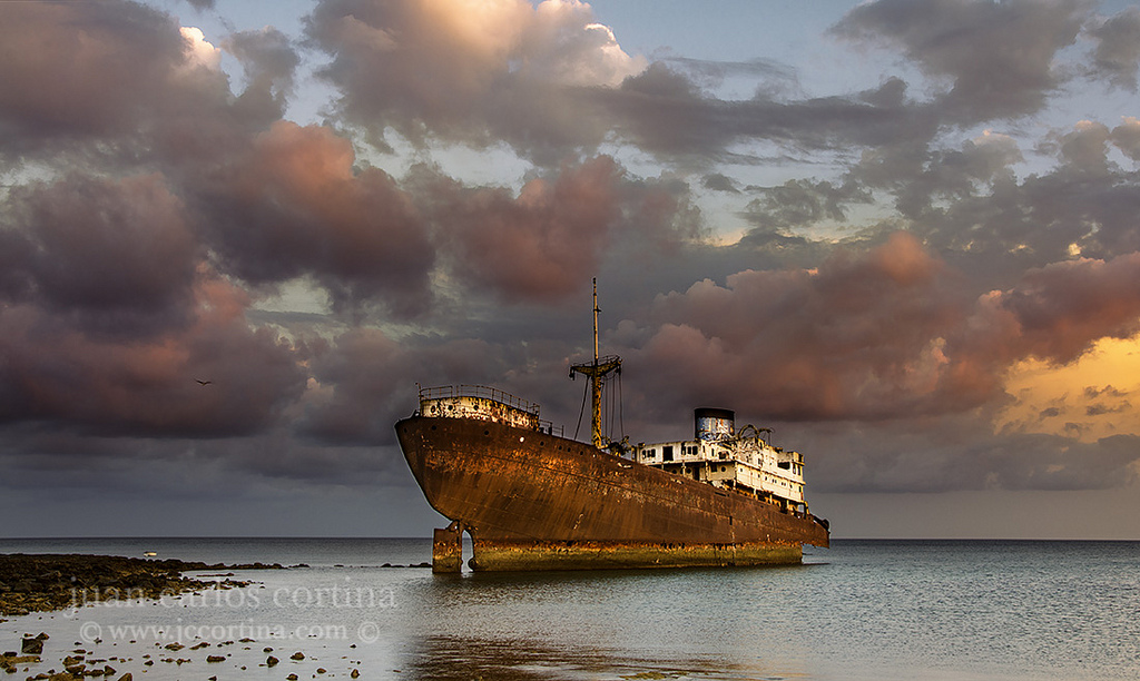 Telamon en Lanzarote 1981