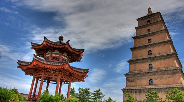 pagoda-oca-salvaje-en-xian-