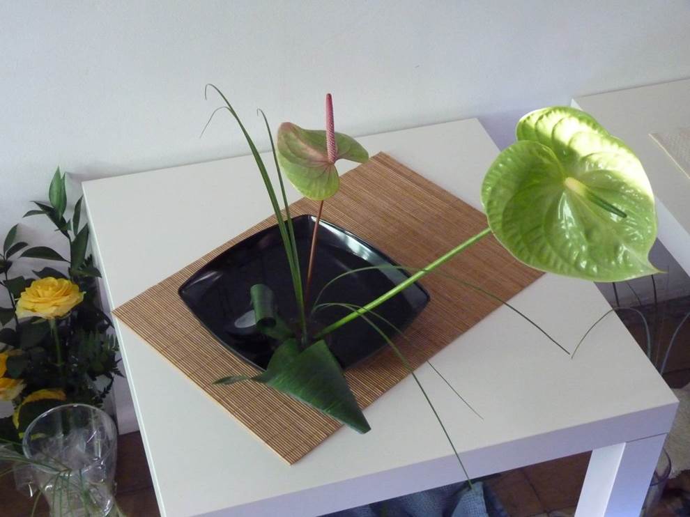 Arreglo inclinado izquierda-curso mio