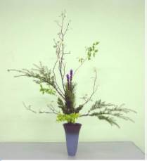 Arreglo Kado curso mio