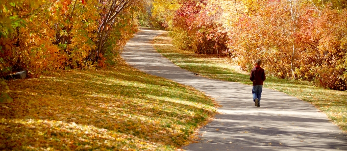 meditar-caminando-pagina