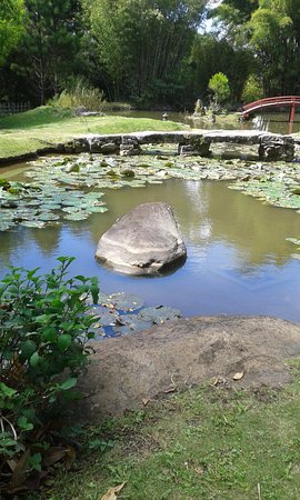 roca en lago-jardin-japones