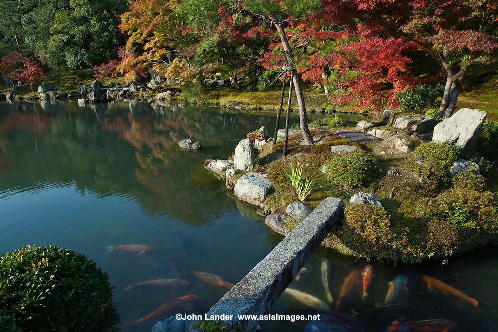Tenryuji Sogenchi Pond Garden