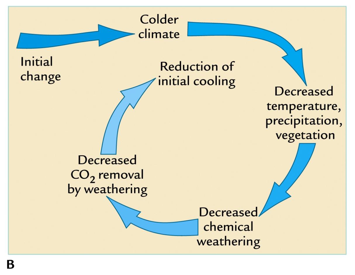 Feed back meteorizacion