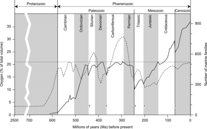Oxigeno en el carbonifero.png