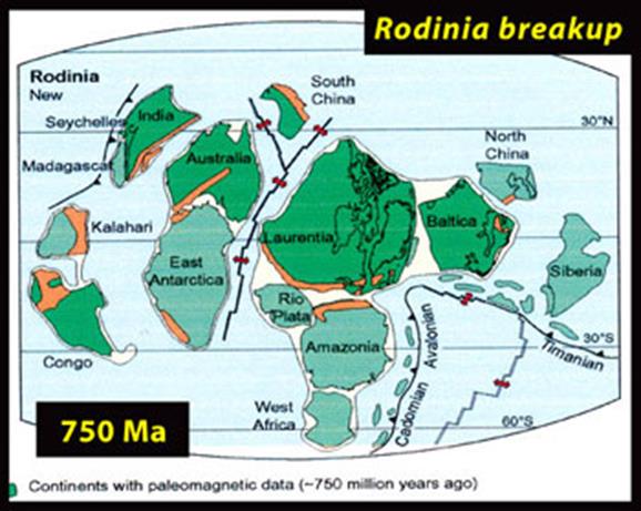 Rodinia