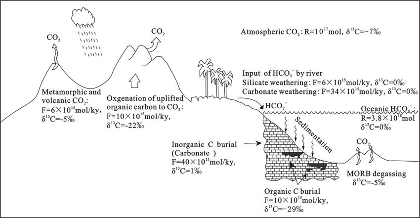 Zhong-2018-Ciclo C geologico