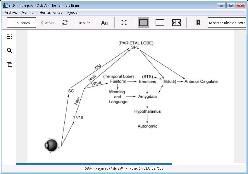 Esquema simplificado
