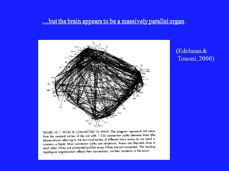 Modelo de percepcion visual de Edelman
