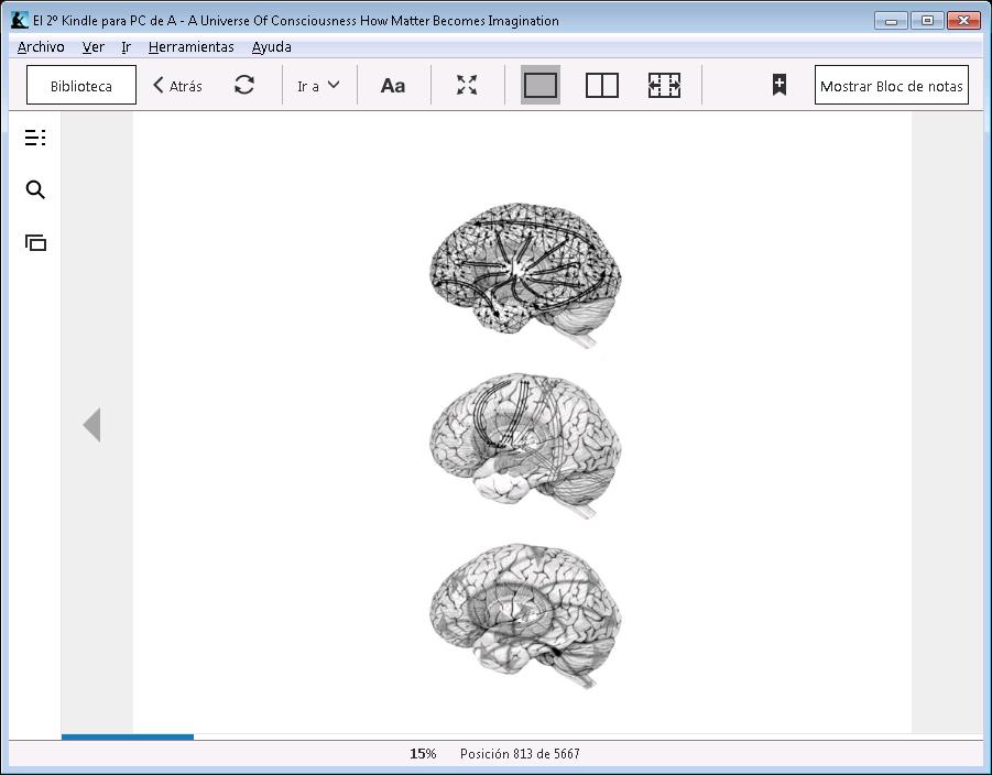 Tres estructuras dinamicas cerebrales