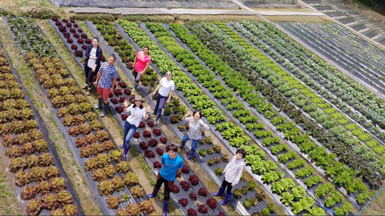 449f94e0-agricultura-orgánica-jadam