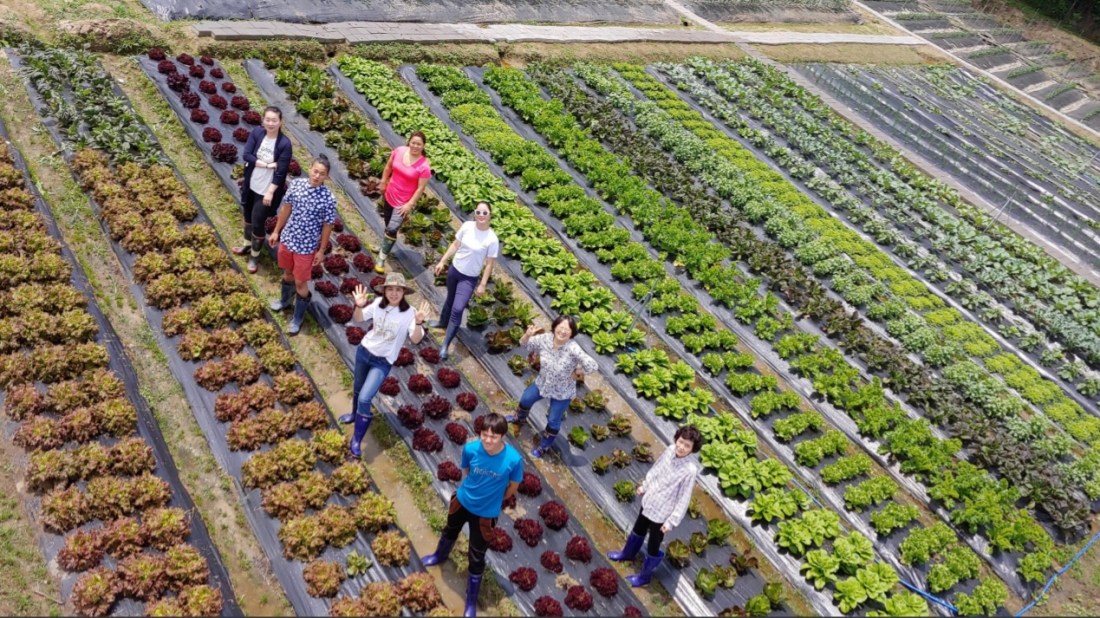 449f94e0-agricultura-orgánica-jadam